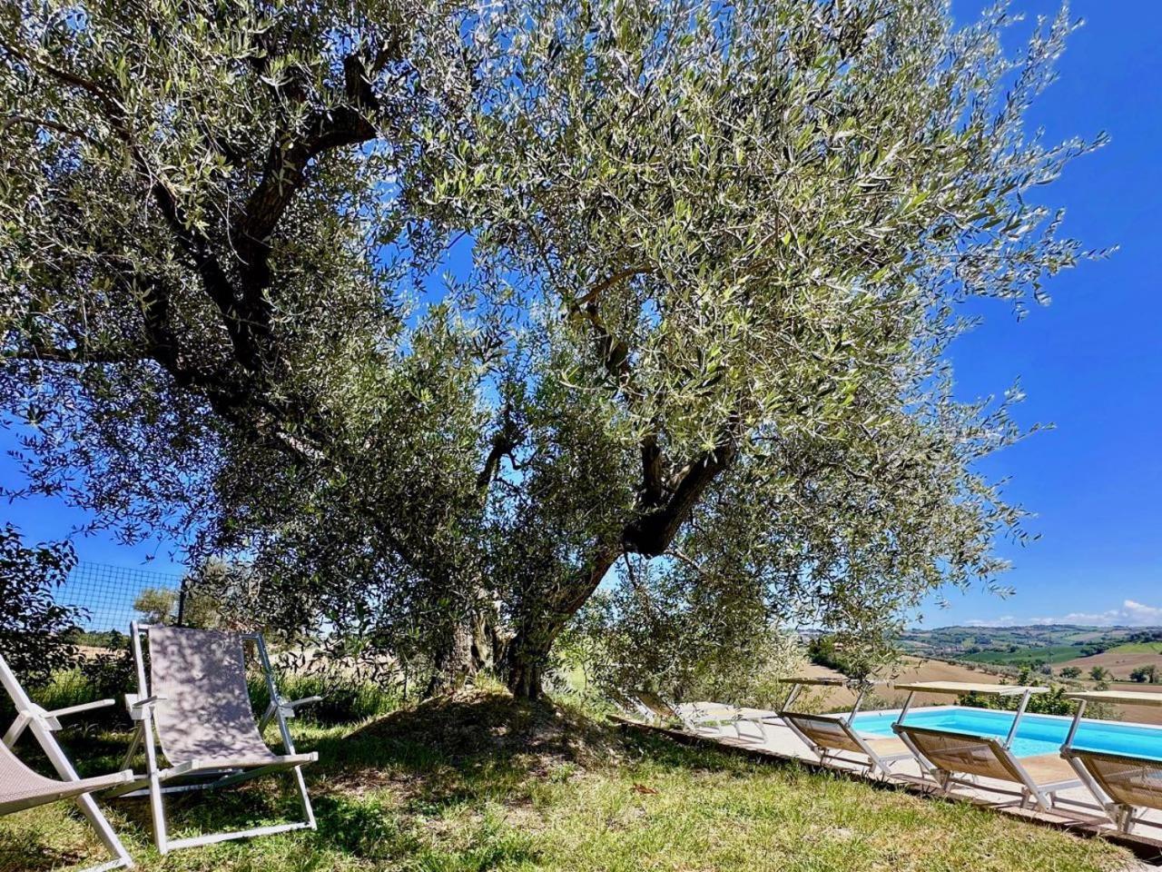 Room In Holiday House - Il Girasole Room On The Hills Of Senigallia, A Stones Throw From The Sea Roncitelli Esterno foto