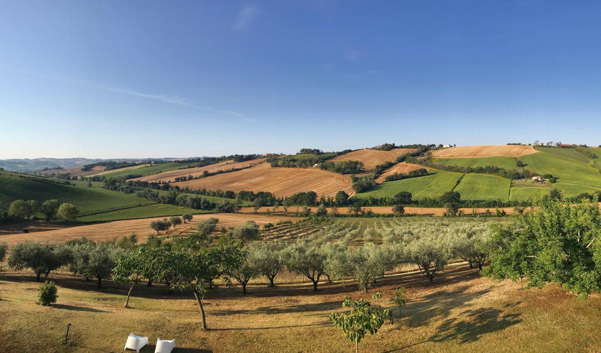 Room In Holiday House - Il Girasole Room On The Hills Of Senigallia, A Stones Throw From The Sea Roncitelli Esterno foto